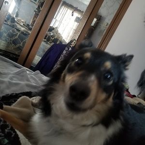 Meet your Posher, Lori